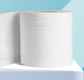 Two-Ply Toilet Paper Rolls