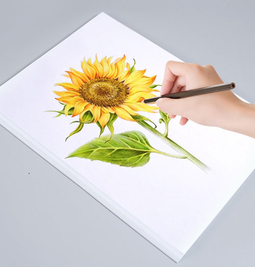 A3 Copy Paper | 70g Printing Paper | General-Purpose White Printing Paper